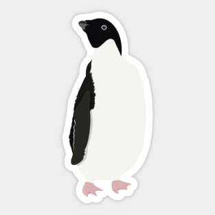 Adélie Penguin Sticker